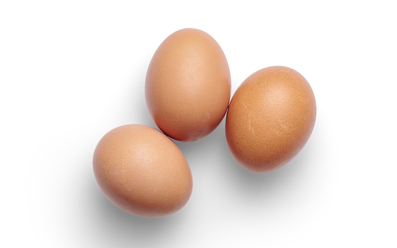 La historia del Huevo