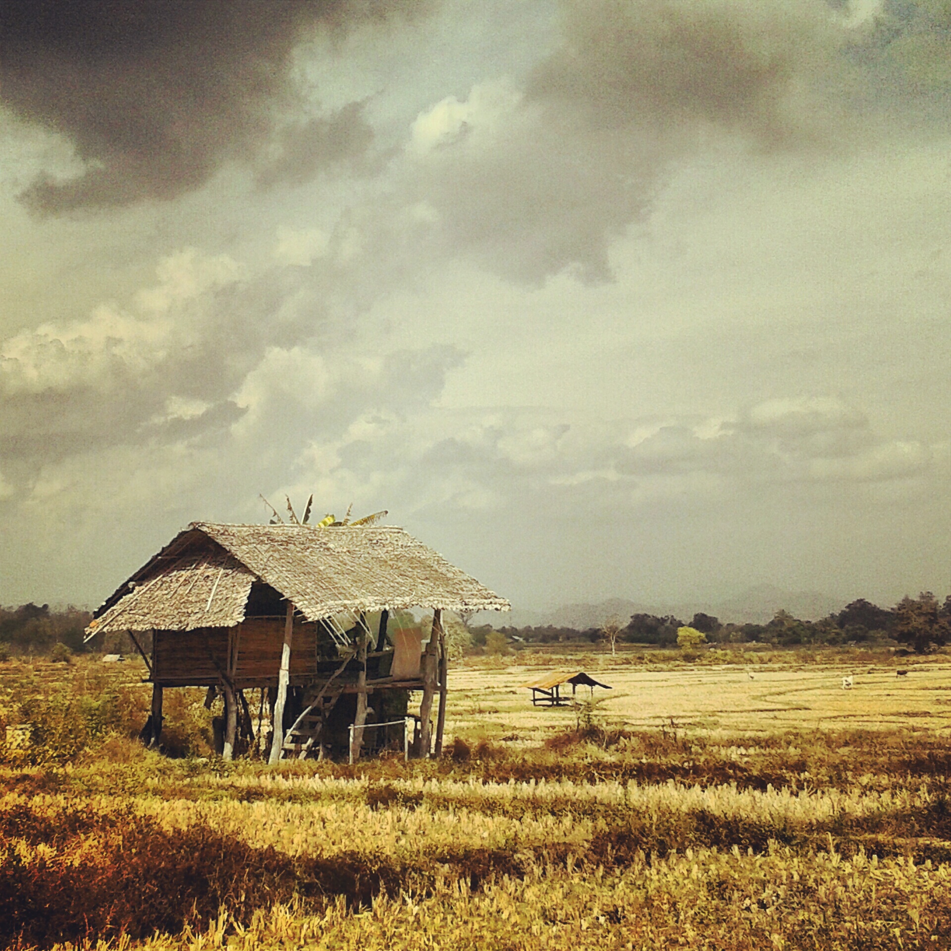 Tacome Pai, Tailandia